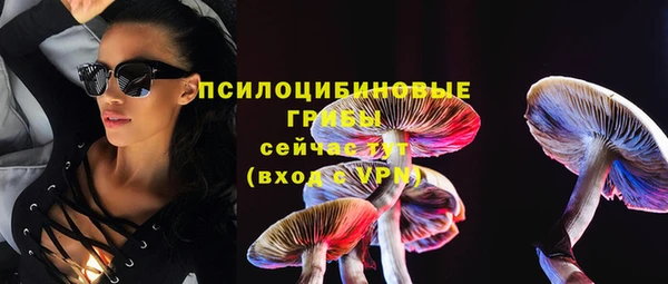 гидра Балабаново